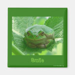 Smile, be happy  - green smiling frog magnet