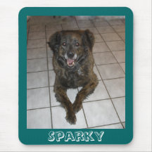 Smile For The Camera! Mouse Mat