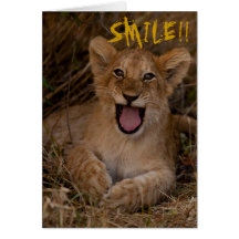 Smile It's your Birthday Cards