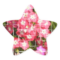 SMILE Laugh and Spread Happiness Star Stickers