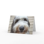 Smile Old English Sheepdog Card