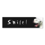 Smile! white boxer bumper sticker bumper stickers
