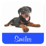 Smiles Rottweiler Puppy Dog Greeting Sticker