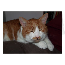 smiley cat Father's Day card
