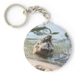 Smiley Duck keychains