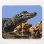 Smiling Alligator Customizable Mousepad