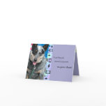 Smiling Australian Cattle Dog Birthday Greeting cards