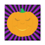 Smiling cartoon pumpkin magnets