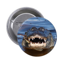 Smiling Crocodile Pinback Button