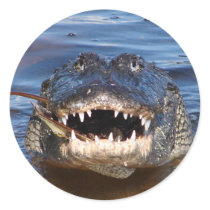 Smiling Crocodile Sticker