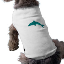 Smiling Dolphin
