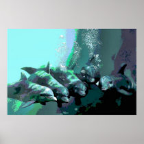 Smiling Dolphins Poster
