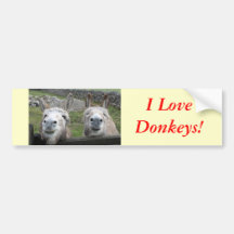 Smiling Donkeys! Bumper Stickers