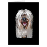 Smiling Fawn Briard Greeting Card