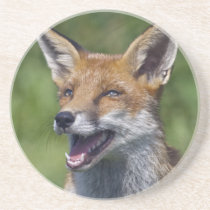 Smiling Fox Coaster