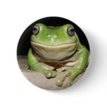 Smiling Green Frog Badge buttons