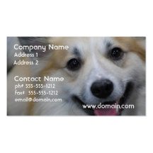 Smiling Icelandic Sheepdog Business Cards
