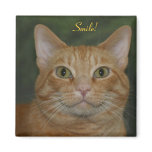 Smiling Kitty Refrigerator Magnets