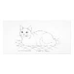 Smiling Kitty photo cards