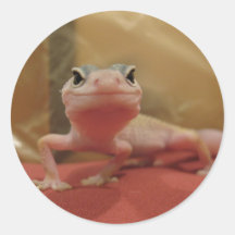 smiling leucistic leopard gecko sticker