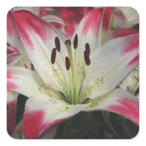 Smiling Lily ~ sticker