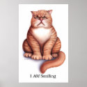 Smiling Poster posters