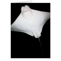 Smiling Ray Card