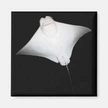 Smiling Ray Fridge Magnet