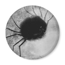Smiling Spider by Odilon Redon Refrigerator Magnets