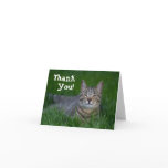 Smiling Tabby Cat Thank You cards