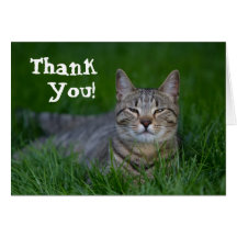 Smiling Tabby Cat Thank You Card