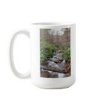 Smith Creek Anna Ruby Falls GA Mug