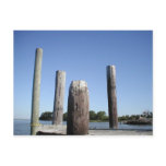 Smith Island Dock Postcard