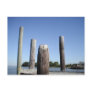 Smith Island Dock Postcard