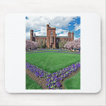 Smithsonian Castle and Haupt Garden Mouse Pads