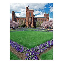 Smithsonian Castle and Haupt Garden Post Cards