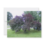 SmokeTree invitations