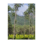 Smoking Mt Etna Through the Trees postcards
