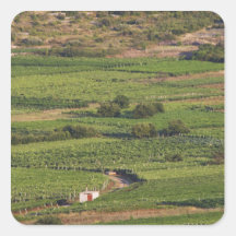 Smokvica vineyards on Korcula from the Toreta Stickers