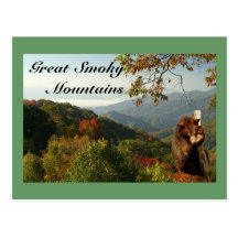 Smoky Mountain Black  Bear Post Cards