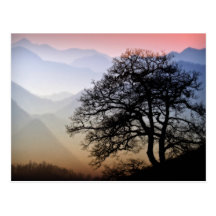 Smoky Mountain Sunset from the Blue Ridge Parkway Postcards