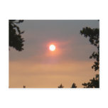Smoky Sun Postcard
