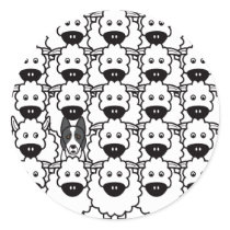 Smooth-Coated Border Collie in the Sheep Stickers