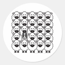 Smooth-Coated Border Collie in the Sheep Sticker
