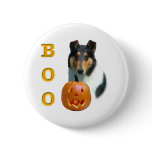 Smooth Collie Boo  - Button