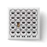 Smooth Collie in the Sheep buttons