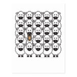 Smooth Collie in the Sheep Postcard