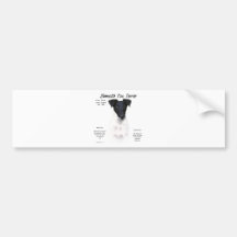 Smooth Fox Terrier History Design Bumper Stickers