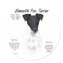 Smooth Fox Terrier History Design
