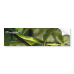 Smooth Green Snake bumper stickers